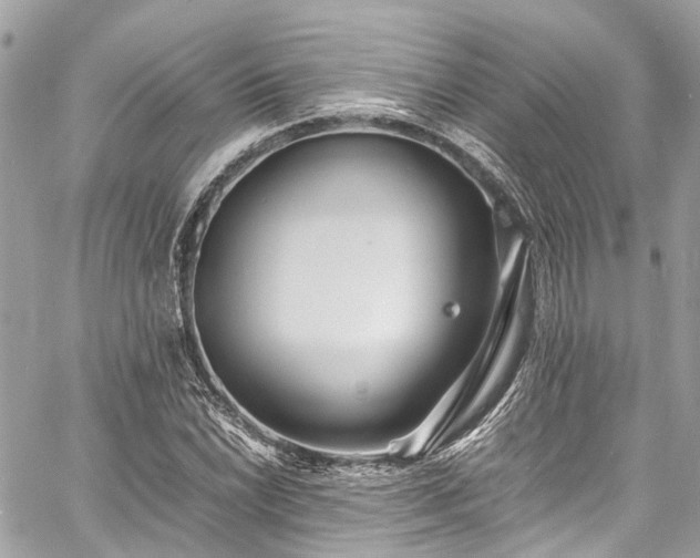 X0000060751022200511141153