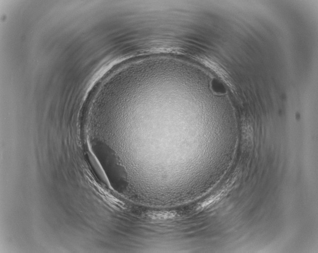 X0000060751023200511141153