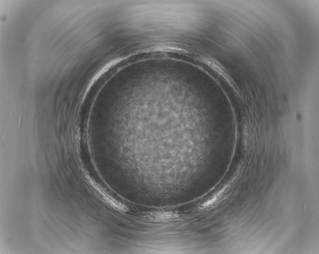 X0000060751024200511141153