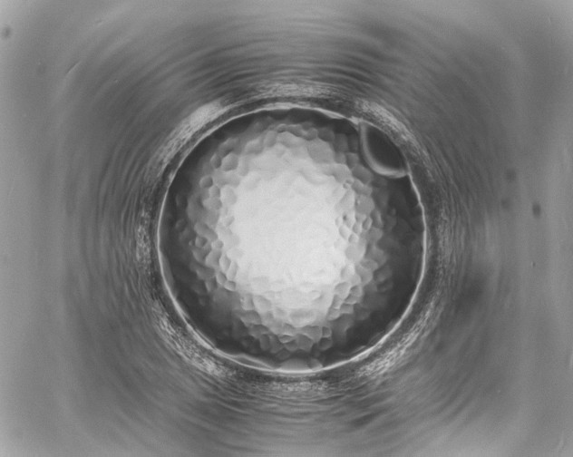 X0000060751025200511141153