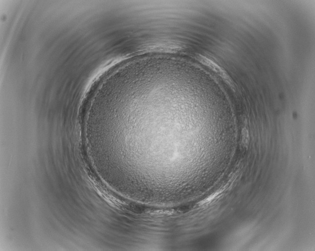 X0000060751027200511141153