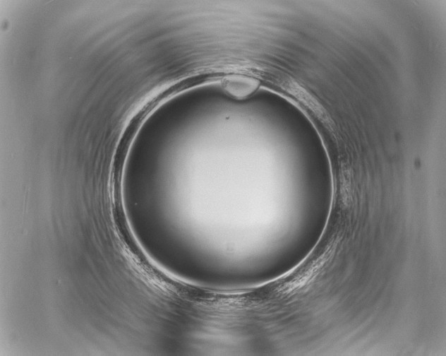 X0000060751028200511141153