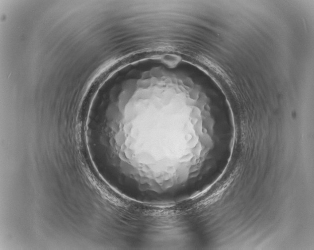 X0000060751029200511141153