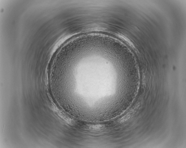 X0000060751031200511141153