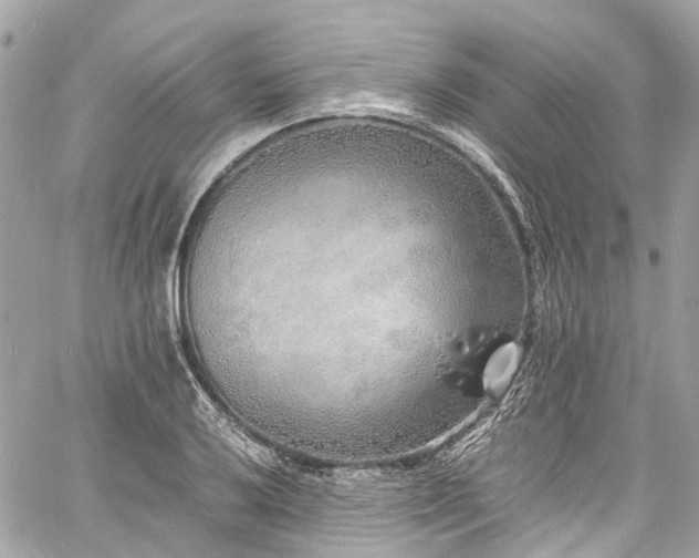 X0000060751032200511141153