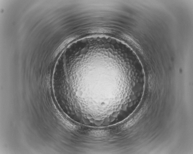 X0000060751033200511141153