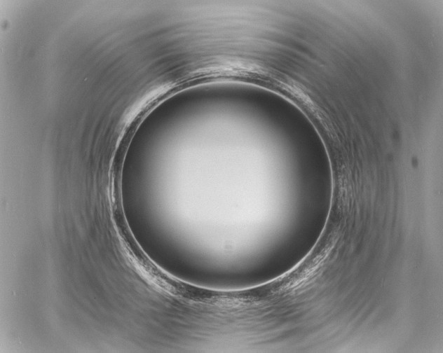 X0000060751034200511141153