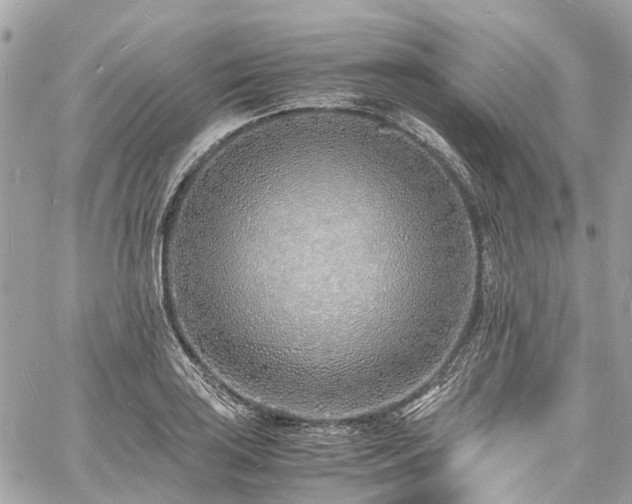 X0000060751035200511141153