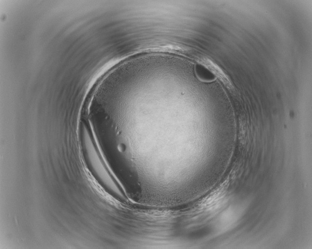 X0000060751036200511141153