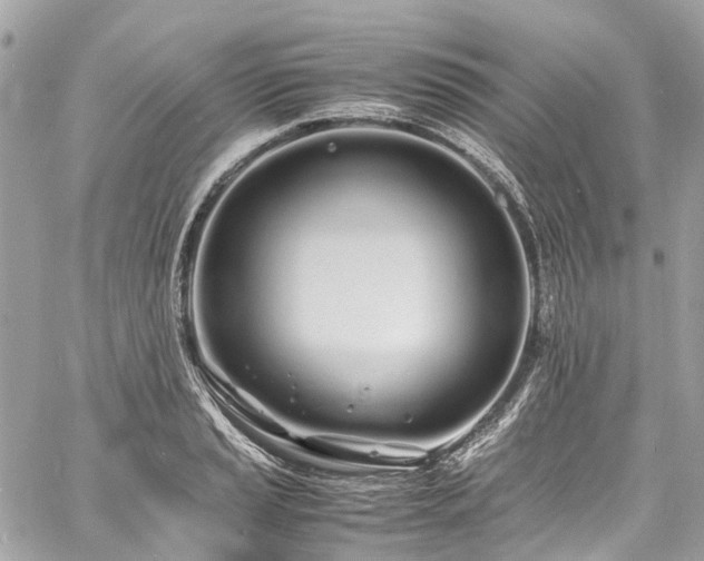 X0000060751037200511141153