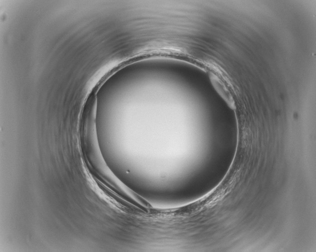 X0000060751038200511141153