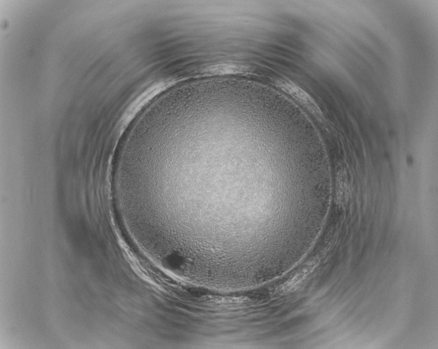 X0000060751039200511141154