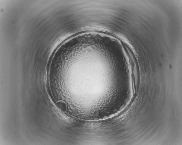 X0000060751040200511141154