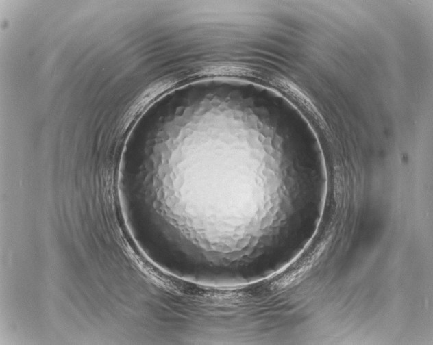 X0000060751041200511141154