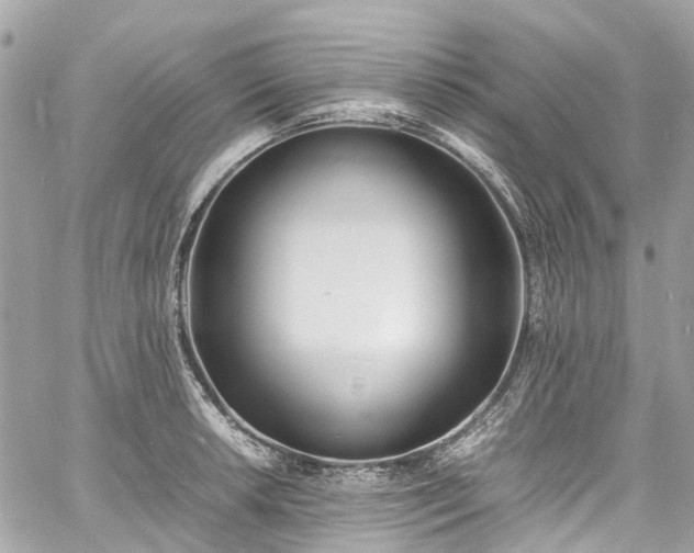 X0000060751042200511141154