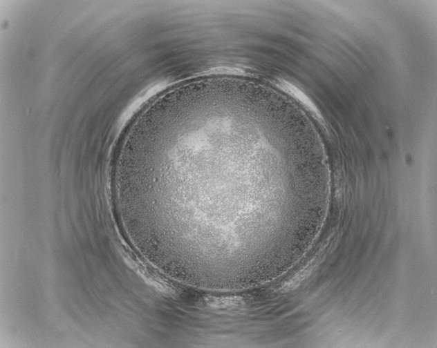 X0000060751043200511141154