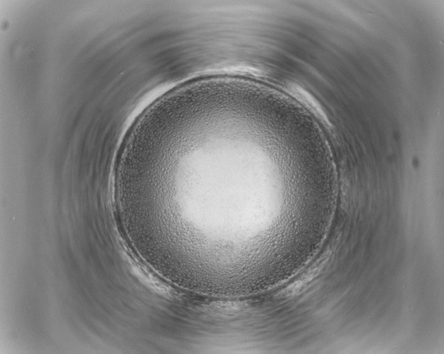 X0000060751044200511141154