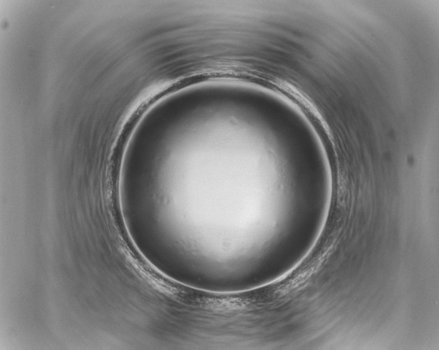 X0000060751045200511141154