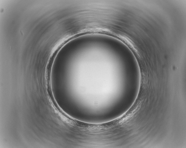 X0000060751046200511141154