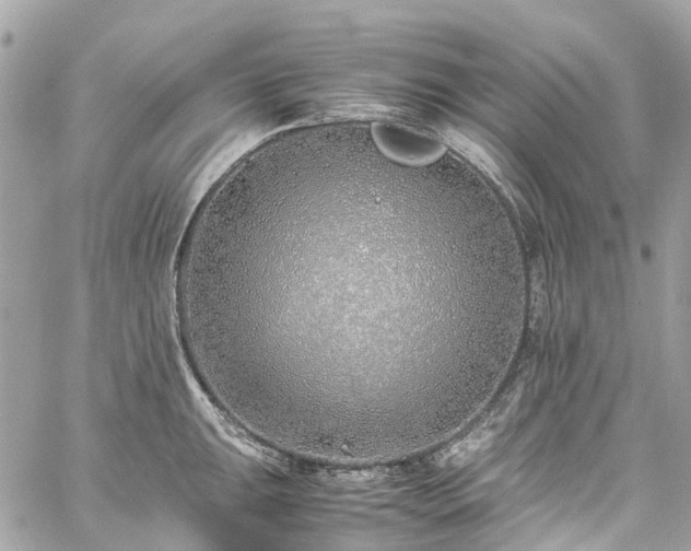 X0000060751047200511141154