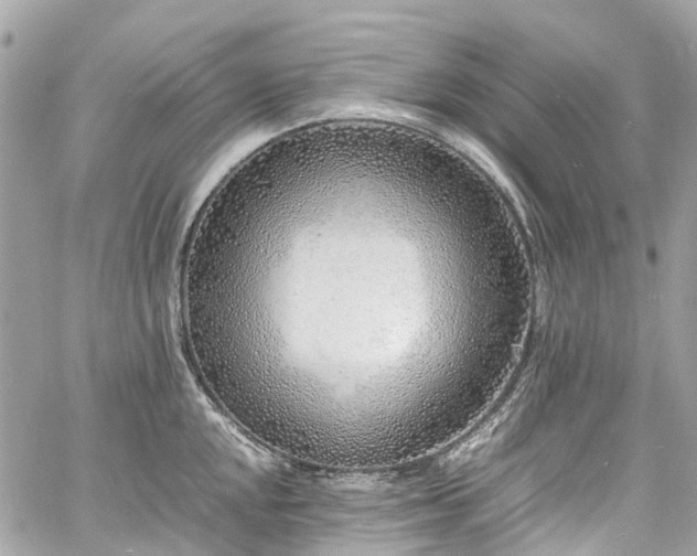 X0000060751048200511141154