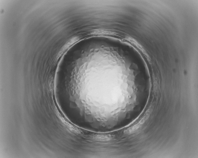 X0000060751049200511141154