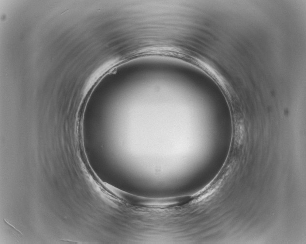 X0000060751050200511141154