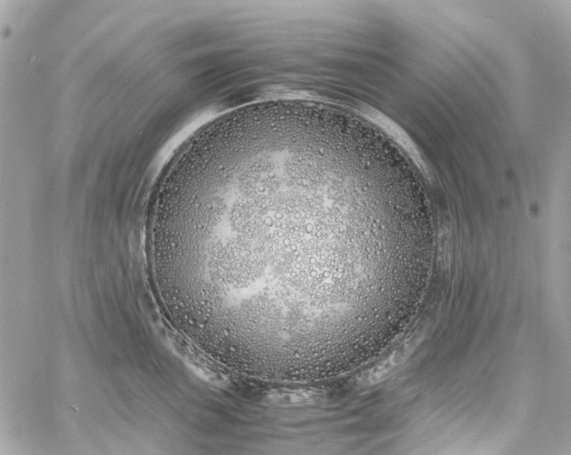 X0000060751051200511141154