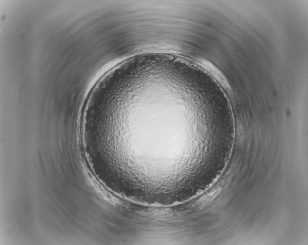 X0000060751052200511141154