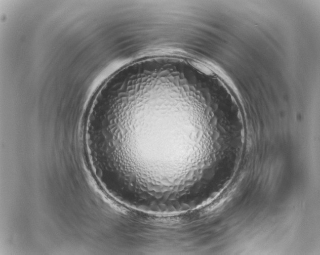 X0000060751053200511141154