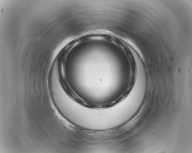 X0000060751054200511141154