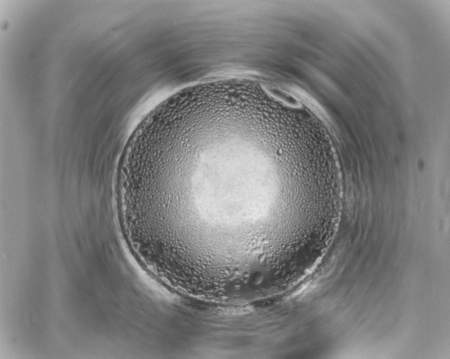 X0000060751055200511141154