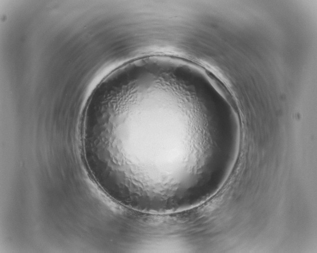 X0000060751056200511141154