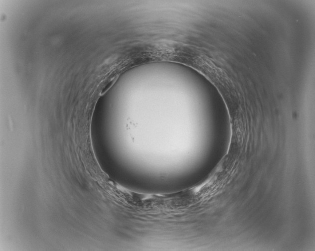 X0000060751057200511141153