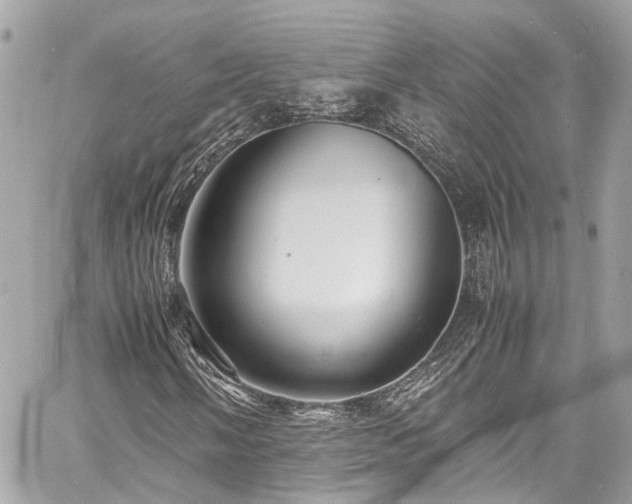 X0000060751058200511141153