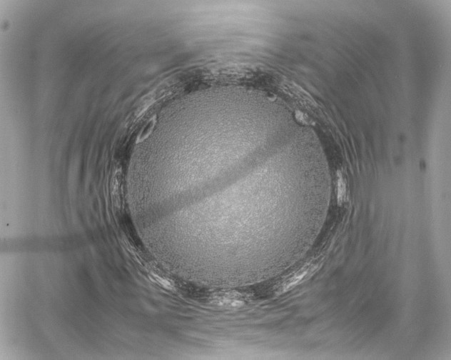 X0000060751059200511141153