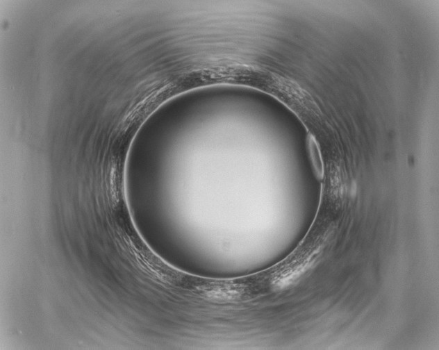 X0000060751060200511141153