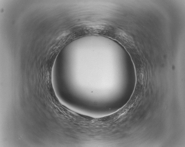 X0000060751061200511141153