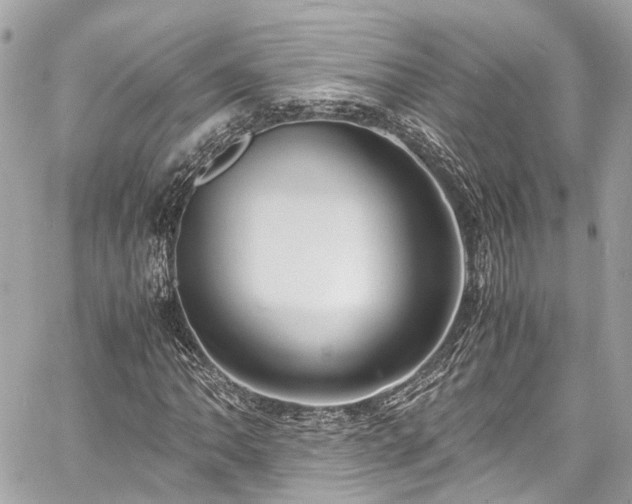 X0000060751062200511141153