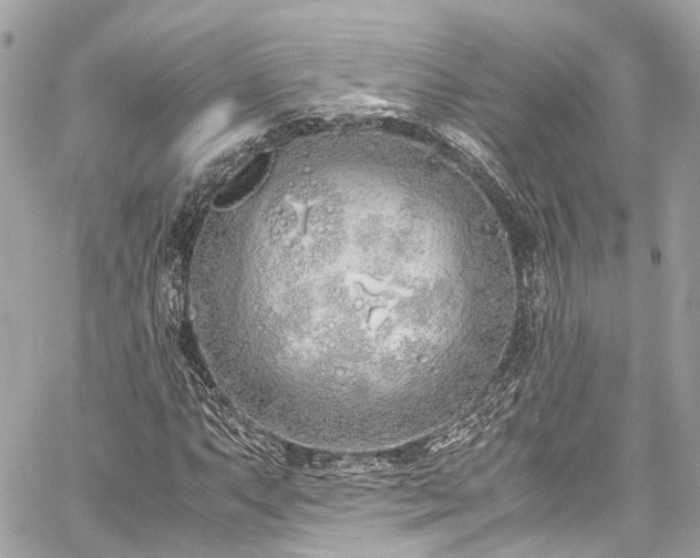 X0000060751063200511141153