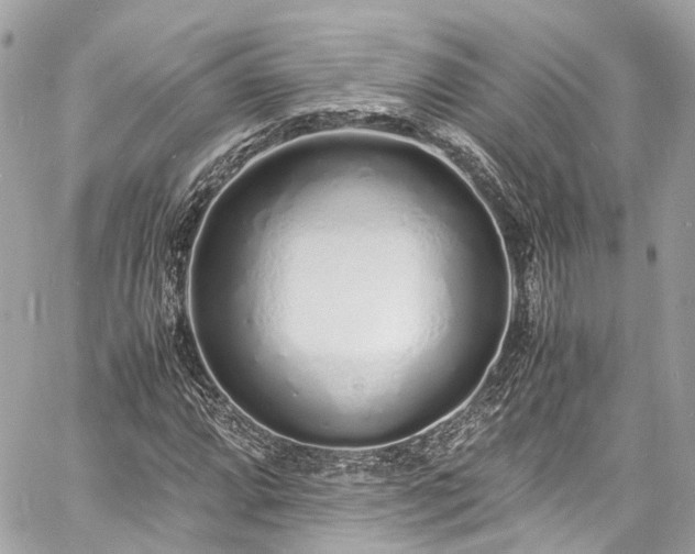 X0000060751064200511141153