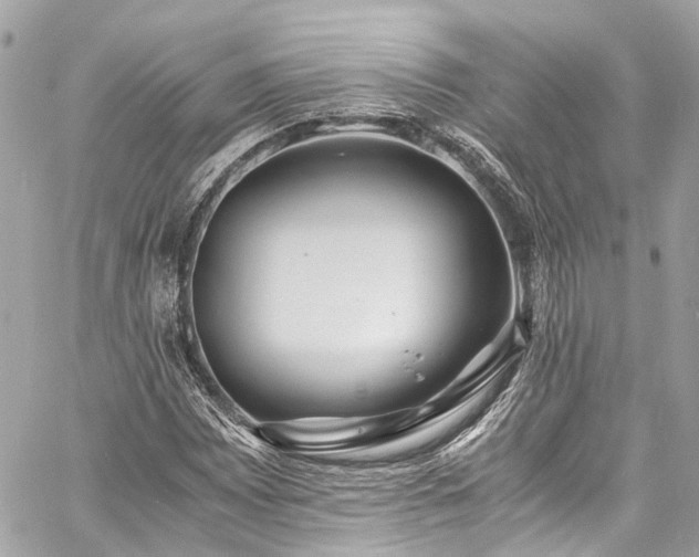 X0000060751065200511141153