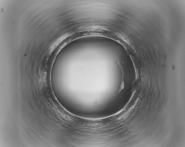 X0000060751066200511141153