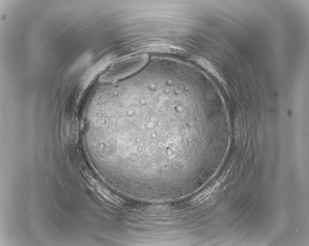 X0000060751067200511141153