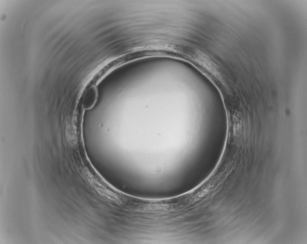 X0000060751068200511141153