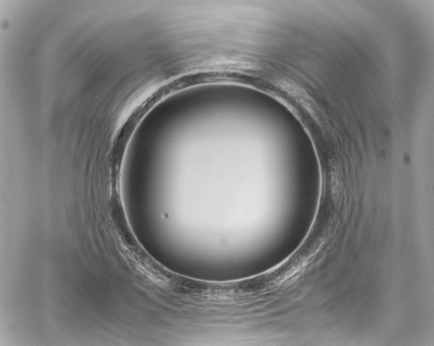 X0000060751069200511141153