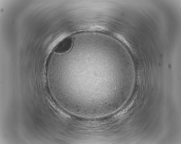 X0000060751071200511141153