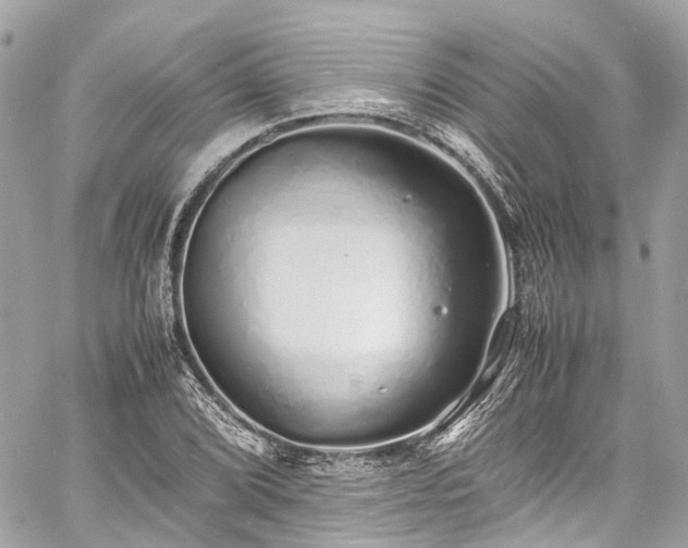 X0000060751072200511141153