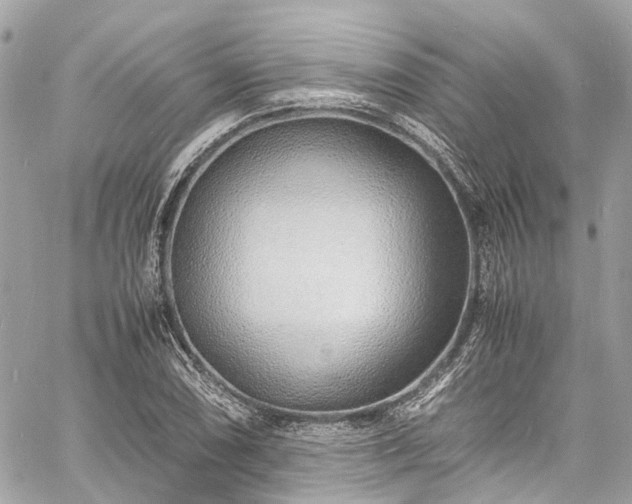 X0000060751074200511141153