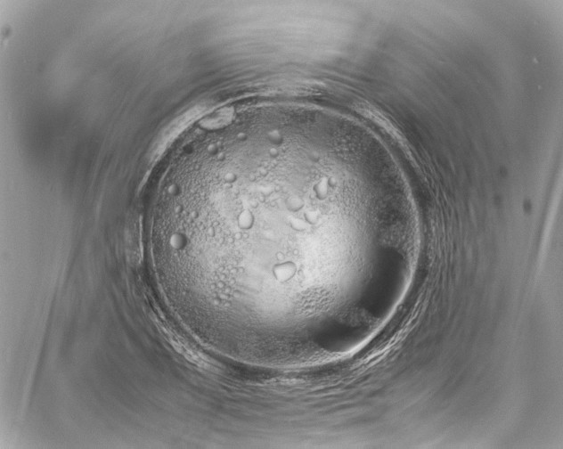 X0000060751075200511141153